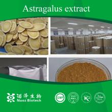 Astragalus Root Extract Nutrition supplement