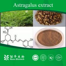  Astragalus  root extract  powder 