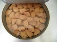 TUNA CHUNKS