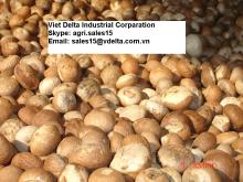 WHOLE / SPLIT  DRIED   BETEL  NUT