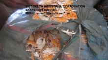 DRIED  CRAB   SHELL 