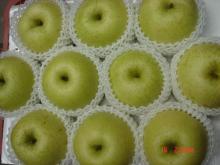 Chinese fresh  singo   pear 