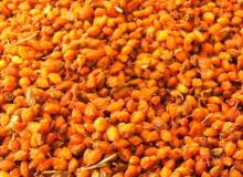 Seabuckthorn dried fruit