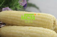 frozen white corn