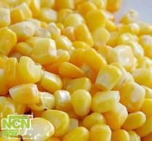 frozen yellow waxy  corn  kernel