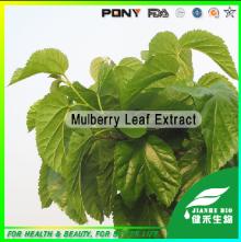 Mulberry  Leaf   Extract  1-Deoxynojirimycin (1-DNJ)