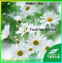  Feverfew   Extract   Parthenolide  0.8%