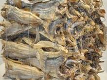 Buy Dried Stock and Arowana Fish Now!!Prices Reduced