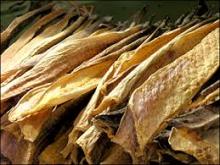 Frozen and Dried Stock Fish, Mackerel Fillets - Pacific Hake Fish-Salmon Fish