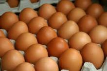 Fresh Brown Eggs
