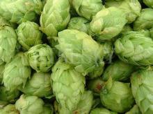 Pure natural hops extract powder