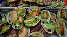 Abalone