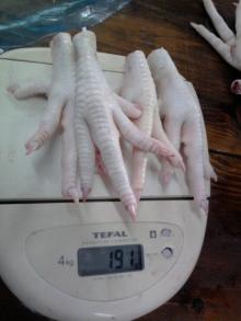 Chicken Paws