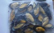 Half Shell Mussel