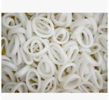Frozen Squid rings