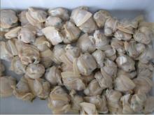 Frozen Boiled Hard Clam Meat