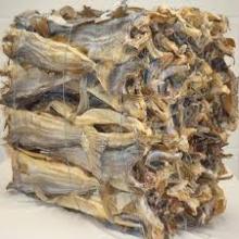 Best Dried Stock fish   Cod ,Saithe, Cod   Fish ,  Head  - Stock fish 