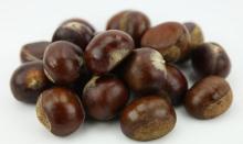 Chinese Chestnuts