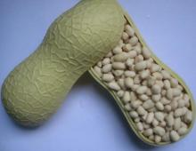 Peanut Kernels/ Organic Peanut/Red Skin Peanuts