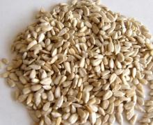 New Crop Sunflower Seeds 5009 24/64