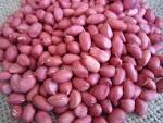 Peanut Kernel