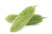 Bitter  Gourd   Extract 