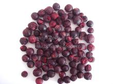Freeze Dried/Lyophilized Black Currant Health Berries
