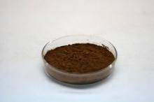 Instant Quality Guarantee Spray Dried  Puer   Tea  Powder