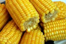 Nourishing Individual Quick Frozen Corn Cuts for Dessert