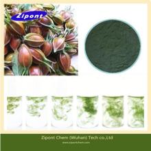  Natural   Food  Colorant Gardenia  Green  Color