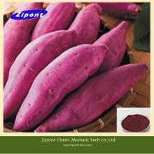 Pure Natural Wate Soluble Color Purple Sweet Potato Red