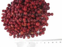  Freeze  Dried Lingon berry  Wild Berries
