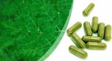  Moringa  Capsules