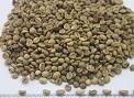  Vietnam   Coffee  Robusta Wholesale in bulk