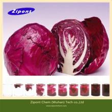 Plant Extract  Cabbage   Red  Color