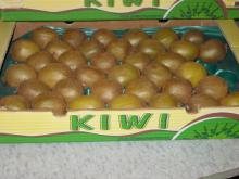  Fresh   Hayward   kiwi s
