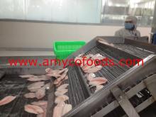 Frozen Tilapia Fillets beautiful