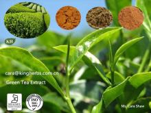 Green  Tea   Extract   Tea   Polyphenols  30%~98%;  EGCG  30%~98%
