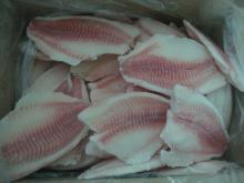  IQF   tilapia  fillet