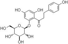 Phlorizin CAS:60-81-1