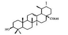 Ursolic Acid 77-52-1