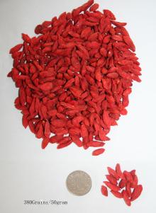  Organic   goji   berry 