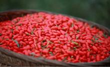 Organic Dried Goji Berry/Dried,ZHONGNING GOJI RED GOJI BERRY