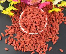 2014 new dry goji berry/organic dried goji berries/fresh goji berries