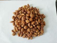 roasted garlic clove