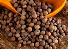 Allspice Oil in Bulk  Wholesale   Vegetable  Oil