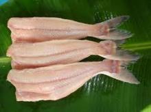 PANGASIUS FISH(BONELESS, HEADLESS, FILLET)