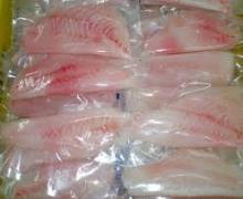  GROUPER   FISH , FILLET, WHOLE, BONELESS AND SKINLESS