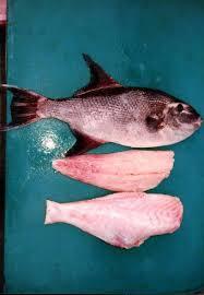 TRIGGER FISH (WHOLE/FILLET, SKINLESS, BONELESS