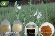  Rosemary  Extract: Rosemarinic  acid  2% to 98%; Ursolic   acid  25% to 50%; Carnosic  acid  5% to 70%